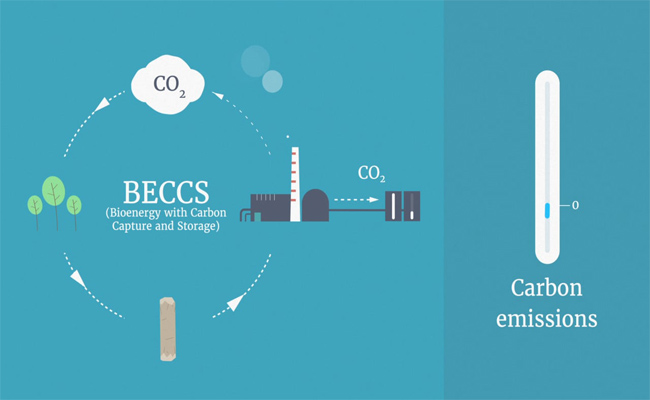 Application of vacuum pumps in carbon capture